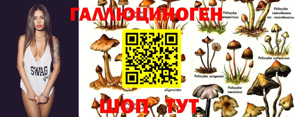 Псилоцибиновые грибы MAGIC MUSHROOMS Менделеевск